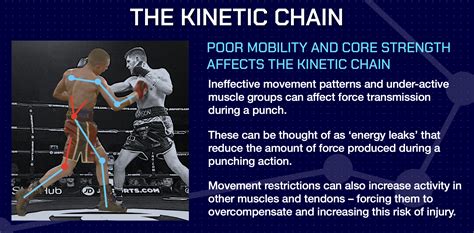 Boxing Science Logo 的图像结果