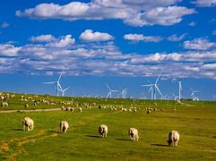Image result for German Wind Farms