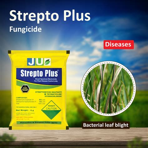Syngenta Ridomil Gold Fungicide – Agriplex