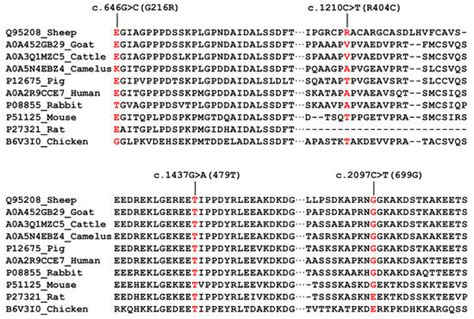 Animals | Special Issue : Factors Affect Fattened Ewes’ and Lambs ...