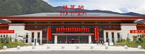综合三甲！西藏林芝市人民医院，2022年招聘护理（血透、PICU、NICU、负压病房）7人-医护学院