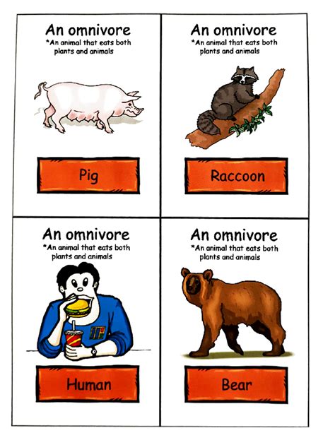 Visuals - tefl - ####### An omnivore An omnivore *An animal that eats both An animal that eats ...