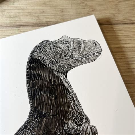 Image result for scratchboard