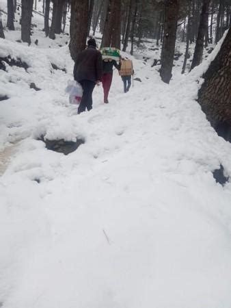 Kashmir's Weyan first in India to conduct 100 percent sampling, 100 ...