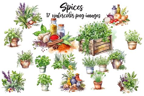 Herbs And Spices Clipart