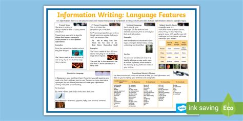 Level 4 Information Writing: Language Features Display Poster