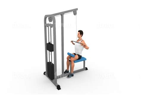 Exercise Animation 的图像结果