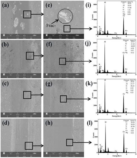 Tribological and Corrosion Performance of CrAlN/CrN Coatings in ...