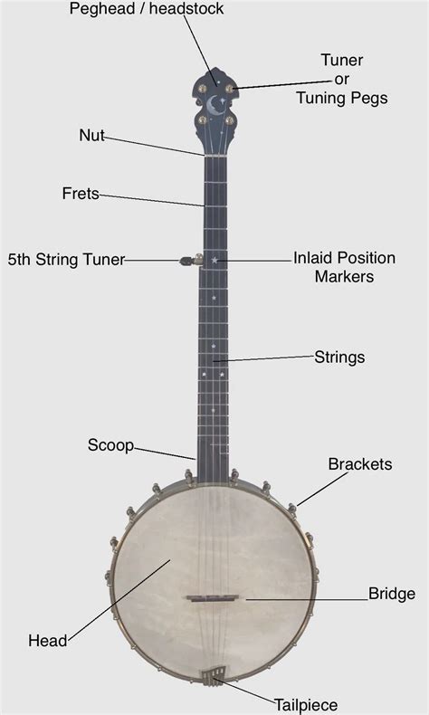 Image result for Banjo Lessons Beginner