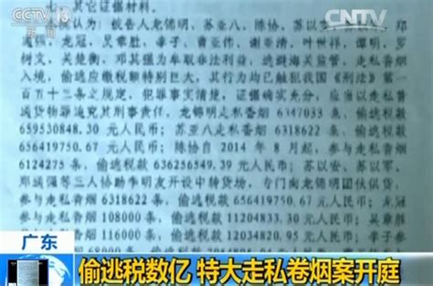广东特大走私卷烟案开庭 总案值约20亿元_手机新浪网