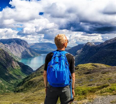 What does a high albumin/globulin ratio mean? | SiPhox Health