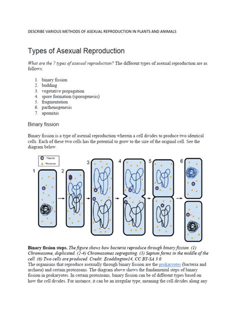 S.A. U2 - 2. Describe Various Methods of Asexual Reproduction in Plants and Animals | PDF ...