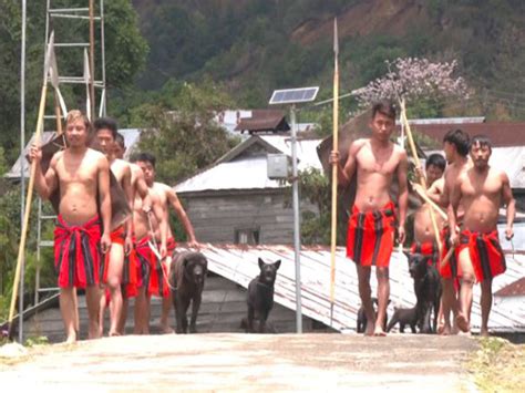 Manipur's indigenous Haofa dog breed finds new recognition