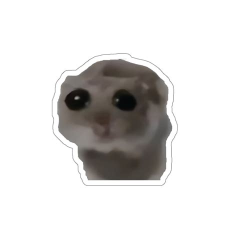 The Gift for Animal Lovers, Crying Hamster Meme Sticker, Perfect for ...