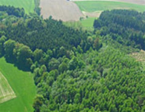 Jahresbilanz 2008 des Staatswaldes Baden-Württemberg vorgestellt ...