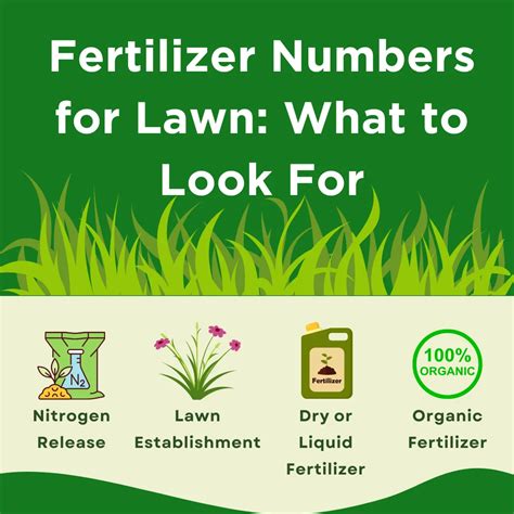 Lawn Fertilizer Numbers for Every Season in Canada