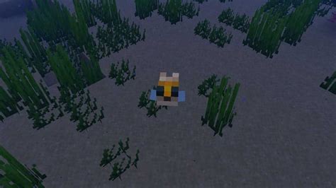 Image result for Puffer Fish Minecraft Use
