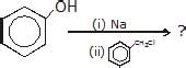 Alkyl Halides (Organic Chemistry), Class 12, chemistry Detailed Chapter ...