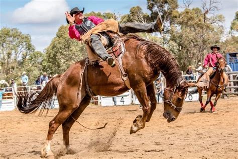 2025 Boddington Lions Rodeo, Boddington Rodeo Grounds, Keysbrook, 1 ...