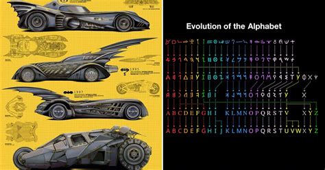 Most Random Facts 的图像结果