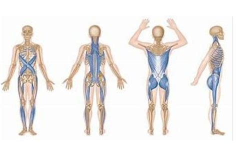 Pop-Up: Myofascial Yoga Class with Silvia, Wholistic Yoga Center LLC ...