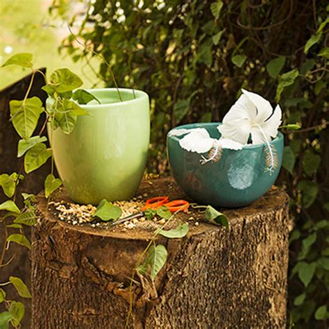 Ceramic planters – Plantsden