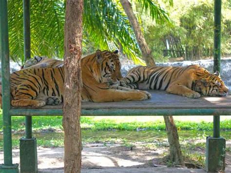 top 15 places to visit in bali | places to visit in bali for honeymoon