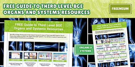 FREE Third Level BGE Organs and Systems Resource Guide.