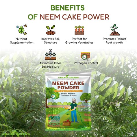 Neem Cake Powder Fertilizer, Pest Control & Soil — Anandi Green's