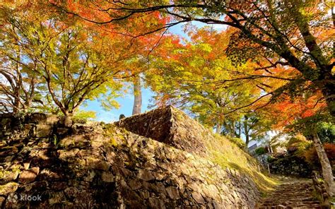 Gujo Hachiman & Bokuka no Sato Snow Resort + Onsen Day Trip - Klook India
