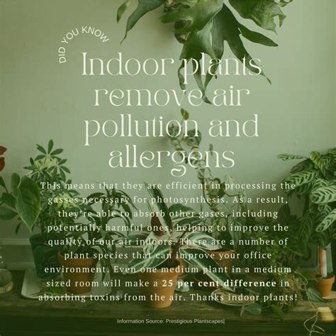 animal allergens