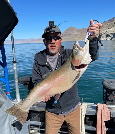 Lahontan Cutthroat Trout Pyramid Lake
