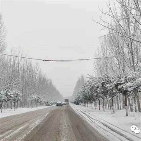 “河南的雪是人工降雪”真相：河南下的雪不是假雪_澎湃号·媒体_澎湃新闻-The Paper