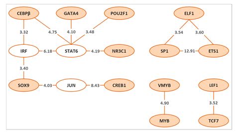 In Silico Prediction of Transcription Factor Collaborations Underlying ...