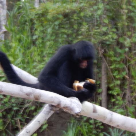 AMAZONIA GARDEN OF LIGHT (Nauta) - Lodge Reviews & Photos - Tripadvisor