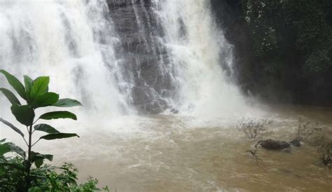 27 Things To Do In Chikmagalur For A Fun Vacation In Karnataka In 2026!