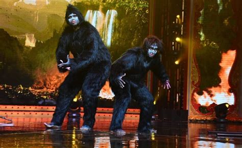 Nach Baliye 9: गोरिल्ला बन बबीता और विवेक ने दिया सोशल मैसेज, अपनी ...