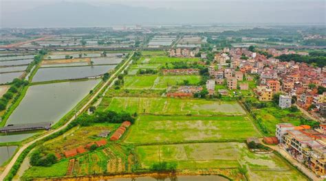 肇庆市多措并举，6.47万亩可复耕撂荒地已全部复耕复种