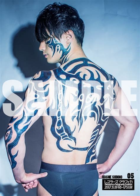 新納刃 2017／5種類 | ハコグラビティ