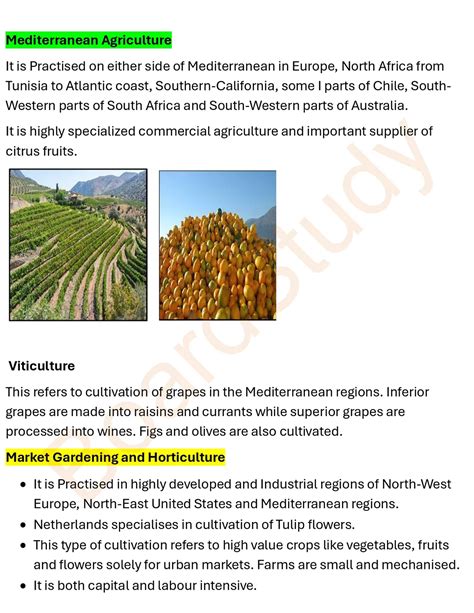 Image result for Primary Activities Class 12 Notes