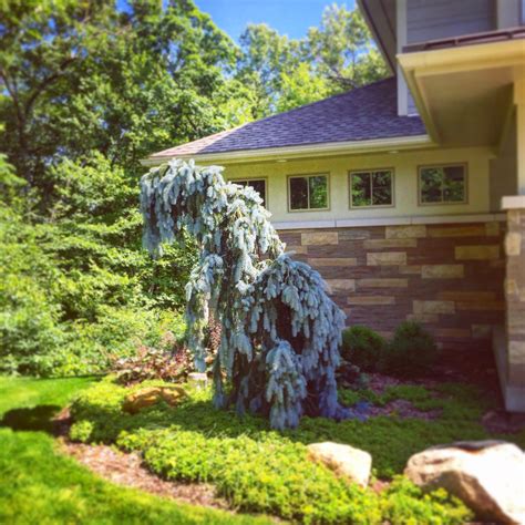 Landscape Design | Grand Rapids, Caledonia, MI | Harder & Warner