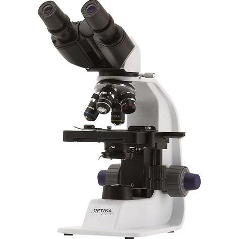 Microscope 1000X Magnification 的图像结果