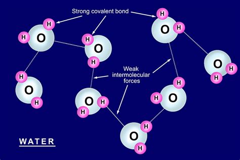 Covalent Substances Examples 的图像结果