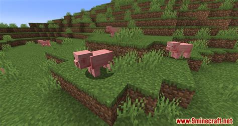 Custom Models Mod 的图像结果