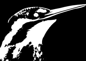 Vector Image Jpg 的图像结果