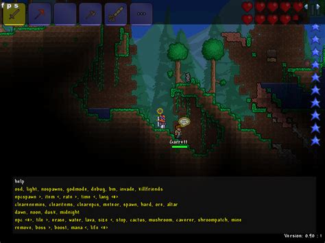 Image result for Debug Menu Terraria