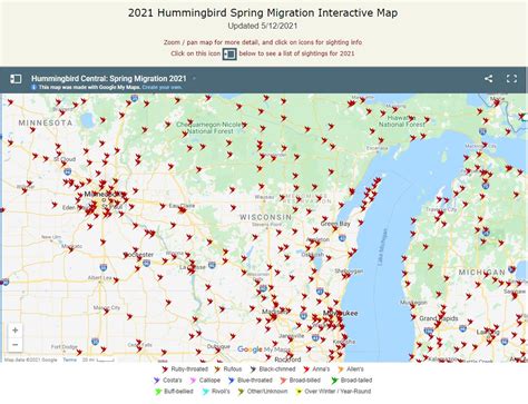 Hummingbird Spring Migration Map 的图像结果