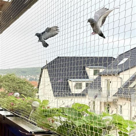 Mr. Right Pigeon Net for Balconies, Bird Control, Anti Bird and Monkey ...