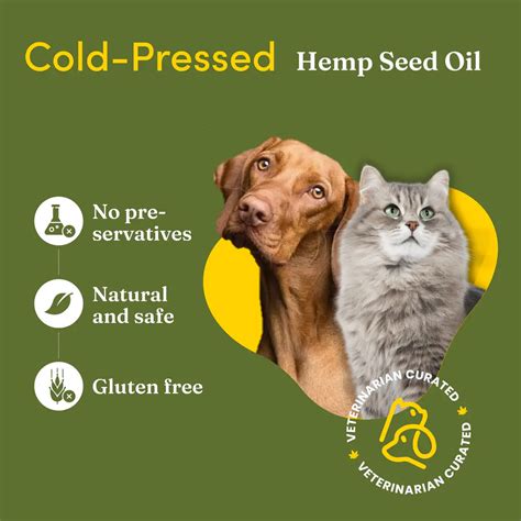 Hemp Seed Oil | A Natural Source of Wellness and Nutrition – CBD Store ...