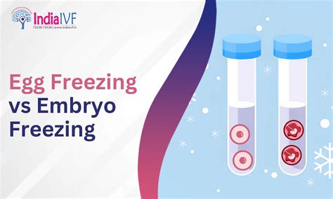 Egg Freezing vs Embryo Freezing: Which Is Right for You? Personally Reviewed for Your Peace of Mind